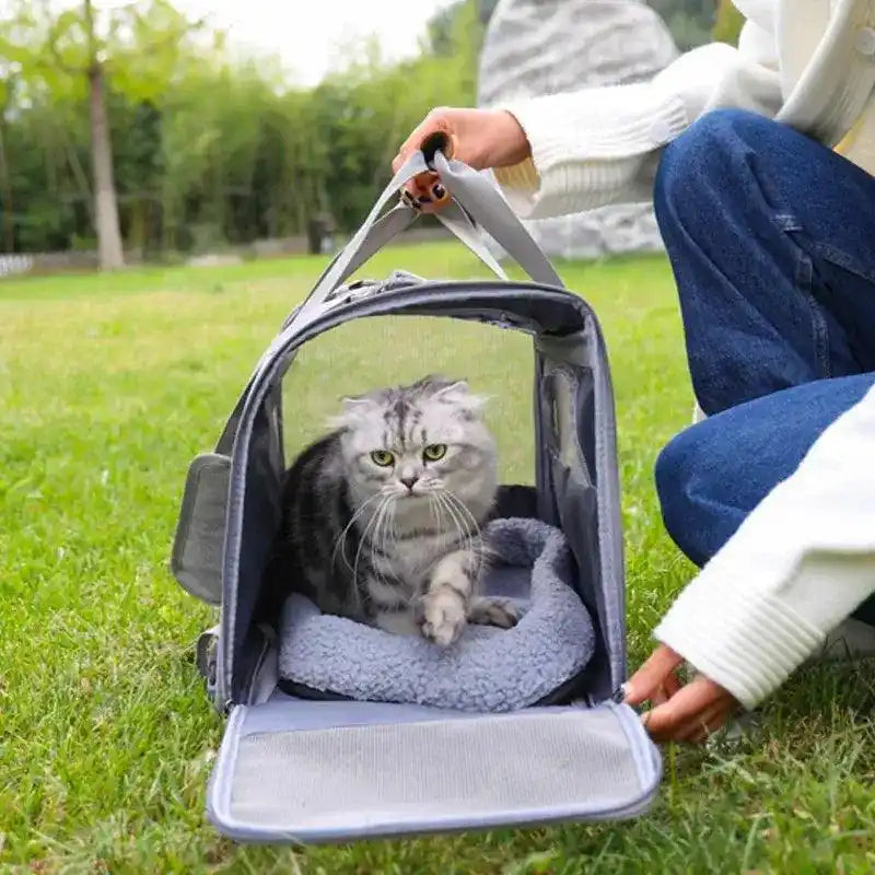 Panier pour chats - LESCHATSEUREUX